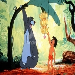 Cartoon songs sur yala.fm